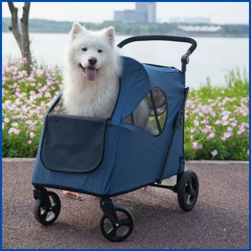 poussette-pour-chien_grande-taille-jusqu-à-50-kg-bleu