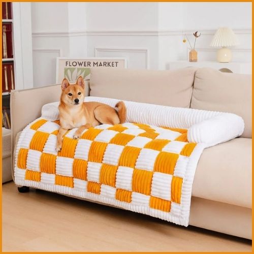 protection-canapé-chien-orange