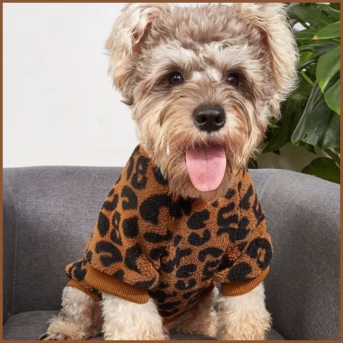 pull-chien_confortable-et-chaud-adapté-aux-petits-et-moyens-marron