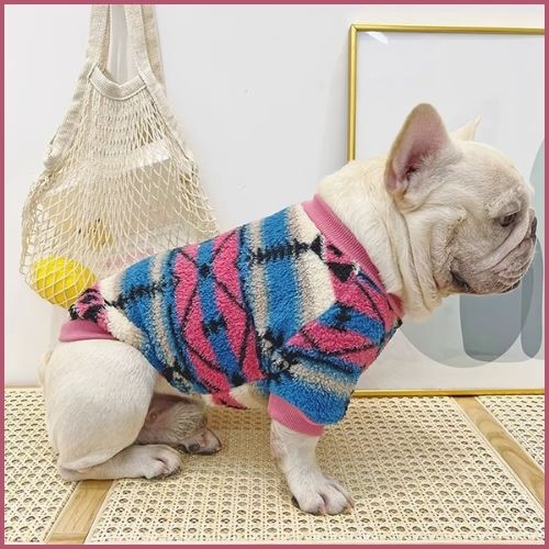 pull-chien_confortable-et-chaud-adapté-aux-petits-et-moyens-bleu