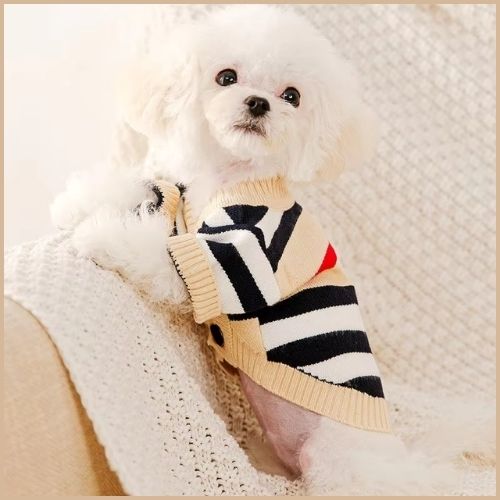 pull-chien-d-hiver-petite-taille-en-style-cardigan-tricoté-blanc
