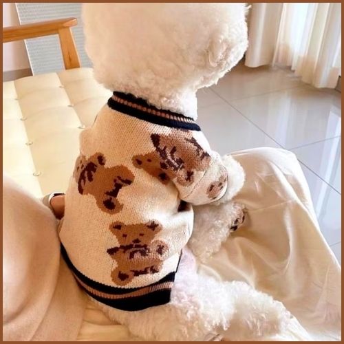pull-chien-d-hiver-petite-taille-en-style-cardigan-tricoté-beige