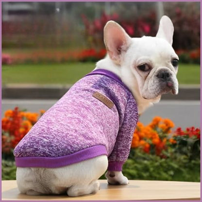 pull-chien-petite-et-moyenne-taille-doux-et-confortable_violet