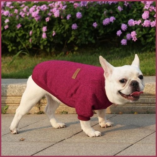pull-chien-petite-et-moyenne-taille-doux-et-confortable_rouge