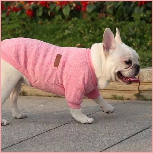 pull-chien-petite-et-moyenne-taille-doux-et-confortable_rose