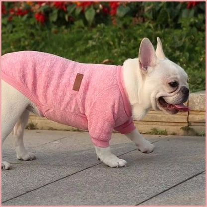 pull-chien-petite-et-moyenne-taille-doux-et-confortable_rose