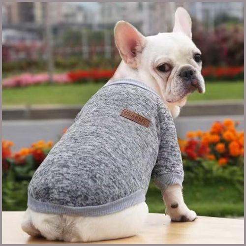 pull-chien-petite-et-moyenne-taille-doux-et-confortable_gris
