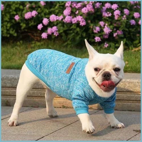pull-chien-petite-et-moyenne-taille-doux-et-confortable-turquoise