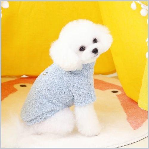 pull-chien-petite-taille-doux-avec-anneau-pour-laisse-intégrée-bleu