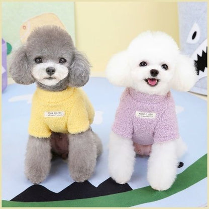pull-chien-petite-taille-doux-avec-anneau-pour-laisse-intégrée-violet