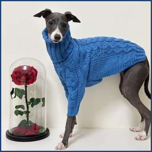 pull-pour-chien-en-tricot-avec-col-roulé-bleu