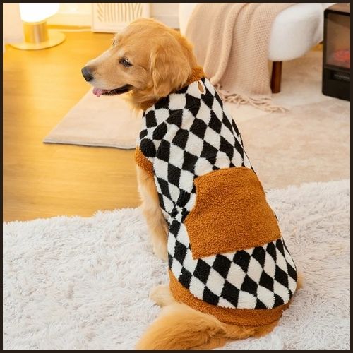 Pull-pour-chien-grande-taille-chaud-et-douillet_noir