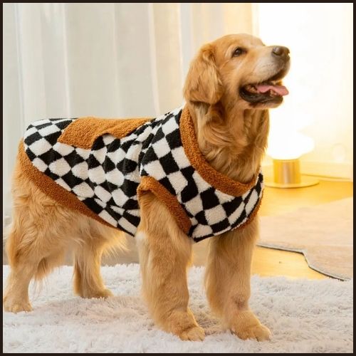 Pull-pour-chien-grande-taille-chaud-et-douillet_blanc