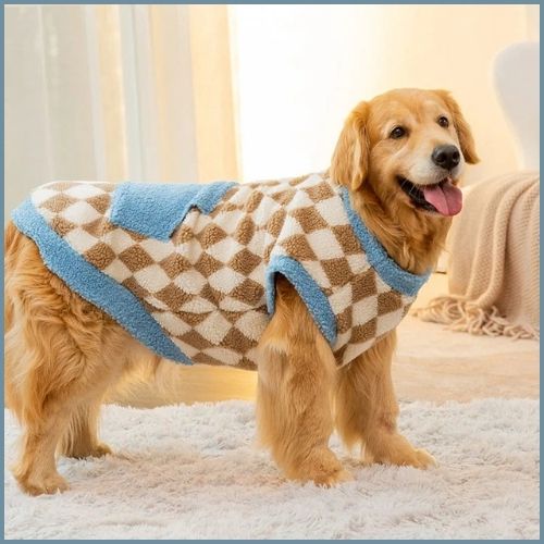 Pull-pour-chien-grande-taille-chaud-et-douillet_turquoise