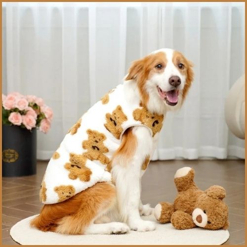 Pull-pour-chien-grande-taille-motif-ours-chaud-hiver_blanc-beige
