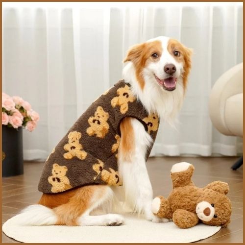 Pull-pour-chien-grande-taille-motif-ours-chaud-hiver_ours