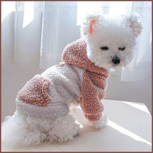 Pull-pour-chien-hiver-avec-capuche-pour-petit-et-moyen_rose
