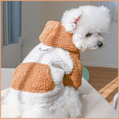 Pull-pour-chien-hiver-avec-capuche-pour-petit-et-moyen_marron