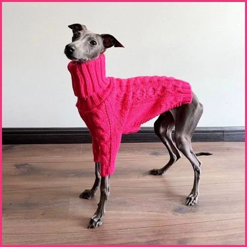 Pull-pour-chien_en-tricot_avec-col-roulé-jaune-rose