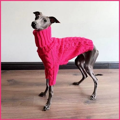Pull-pour-chien_en-tricot_avec-col-roulé-jaune-rose