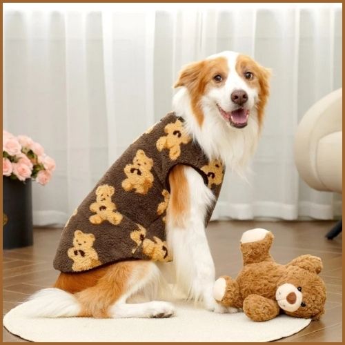 pull-pour-grand-chien_ours