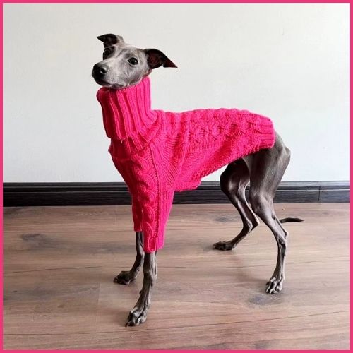 Pull-tricot-pour-chien_rose