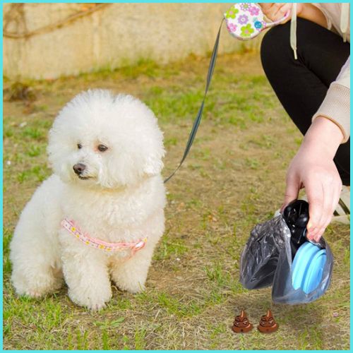 ramasse-crotte-chien-à-pince-avec-porte-sac-intégré