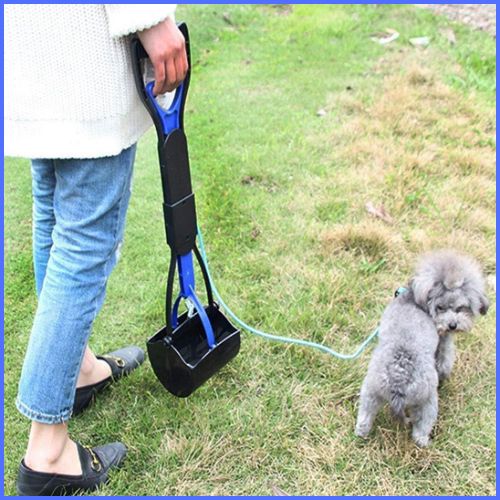 ramasse-crotte-chien_pliable-avec-pince-pratique-bleu