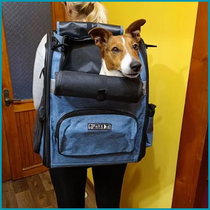 sac-a-dos_chien_léger-et-pratique-pour-la-randonnée-bleu