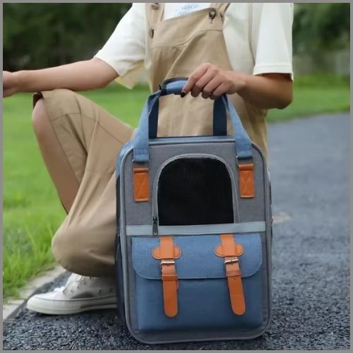 sac-a-dos-chien_petite-taille-avec-fenêtre-en-maille-bleu