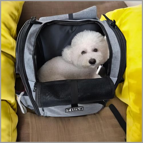 sac-a-dos-chien_léger-et-pratique-pour-la-randonnée-gris