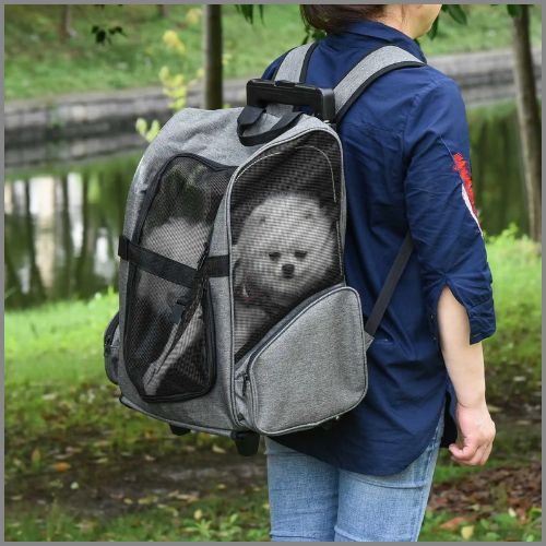 sac-a_dos-pour-chien-2-en-1-avec-roulettes-gris