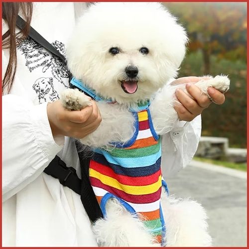 sac-a-dos-pour-chien-ergonomique-pour-trajets-en-vélo-couleur