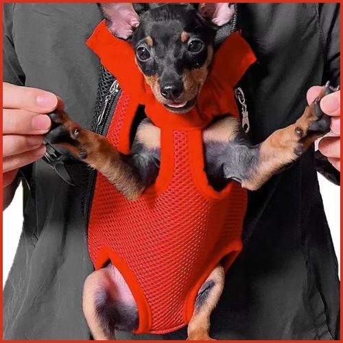sac-a-dos-pour-chien-ergonomique-pour-trajets-en-vélo-rouge-noir