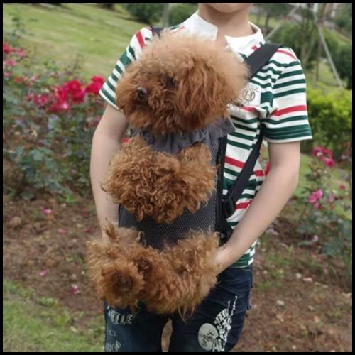 sac-a-dos-pour-chien-ergonomique-pour-trajets-en-vélo-parc