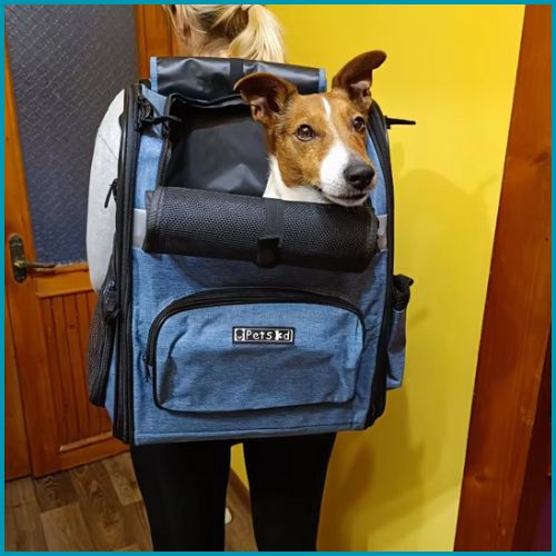 sac-a-dos_chien_léger-et-pratique-pour-la-randonnée-bleu