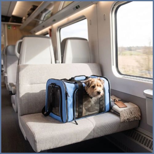 sac-de-transport-pour-chien-confort-pour-train-et-voiture