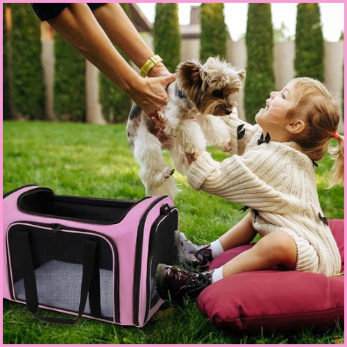 sac-de-transport-pour-chien_idéal-pour-train-et-voiture-rose