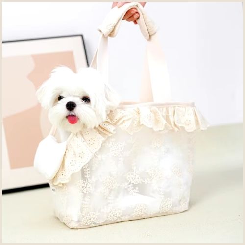 sac-de-transport-pour-chien_léger-confortable-avec-coussin-caniche