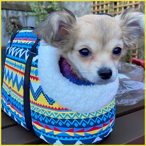 sac-transport-chien_chaud-et-confortable-en-fausse-fourrure-petit