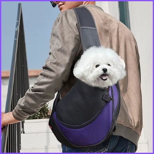 sac_transport_pour_chien_6-kg-en-bandoulière-respirant-violet