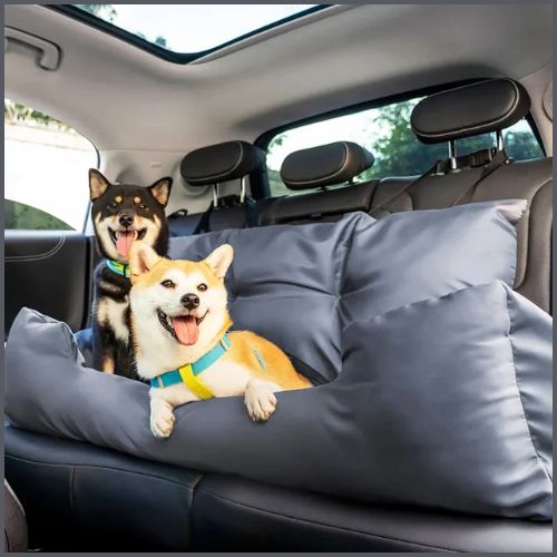 Siege auto pour chien |CocoonCar
