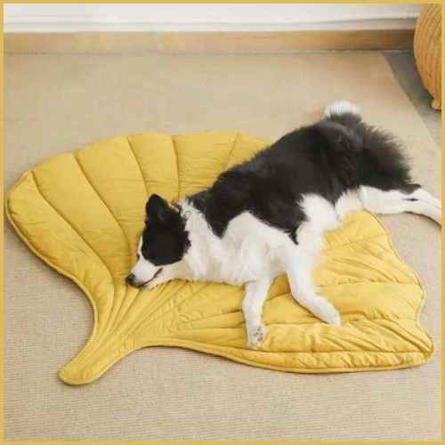 tapis-XXL-pour-chien-en-forme-de-feuille-doux-et-confortable-border-collie