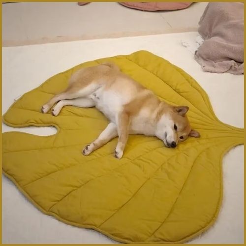 tapis-XXL-pour-chien-en-forme-de-feuille-doux-et-confortable-jaune