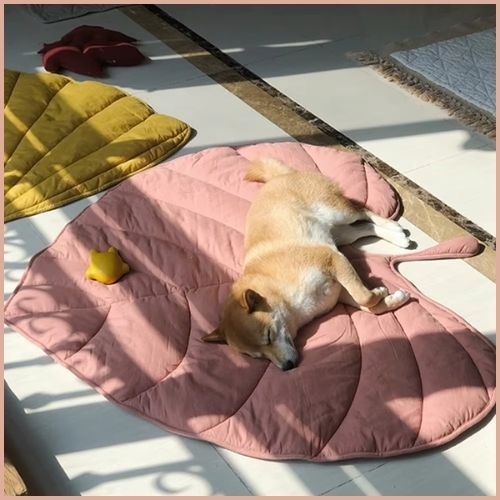 tapis-XXL-pour-chien-en-forme-de-feuille-doux-et-confortable-shiba-inu