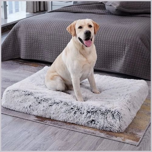 tapis-XXL-pour-chien-en-mémoire-de-forme-déhoussable-et-lavable-gris