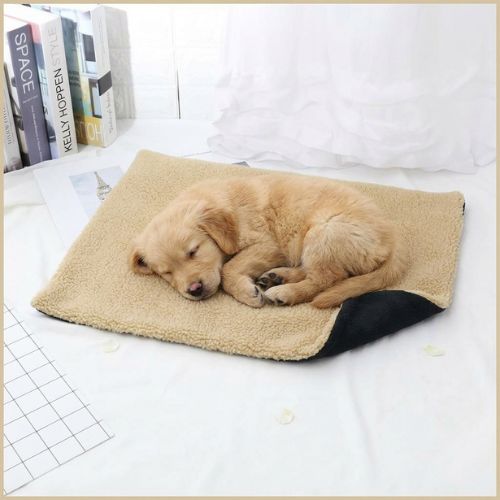 tapis-chien-hiver-auto_chauffant-petit-et-moyen-marron