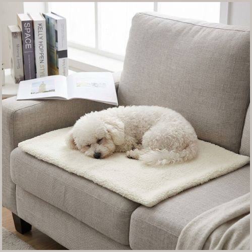 tapis-chien-hiver-auto_chauffant-petit-et-moyen_blanc
