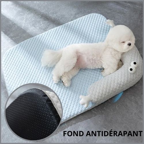 tapis-chien-rafraichissant-déhoussable-pour-petit-et-moyen-fond