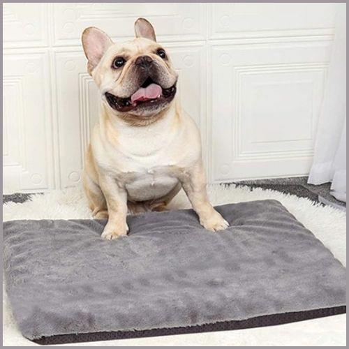 tapis-pour-chien_déhoussable-doux-et-confortable-gris